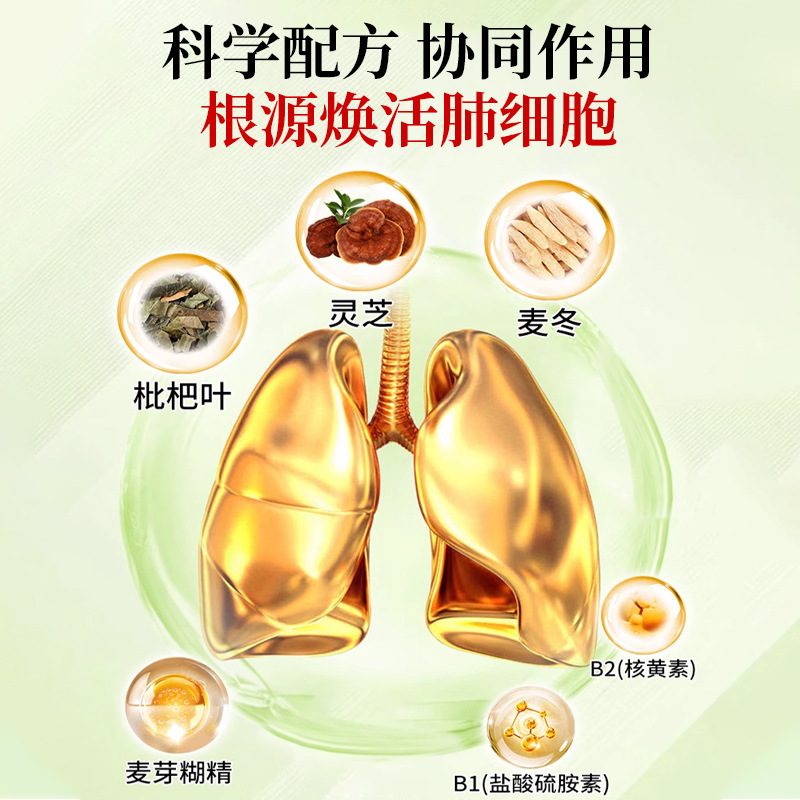 南京同仁堂灵芝枇杷叶麦冬片烟肺清洁畅快呼吸批发代理一件代发|undefined