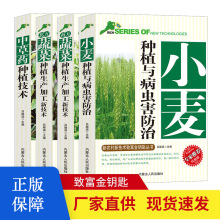 农业用书农作物种植技术指导书蔬菜 草药种植指导书