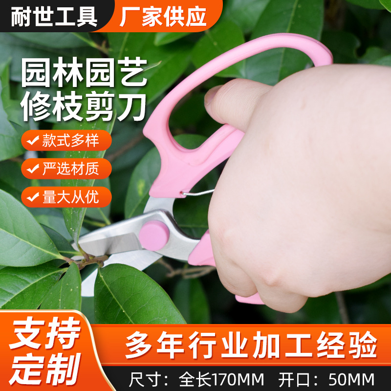 厂家现货园艺剪刀果树花艺剪刀园林盆景修枝培训剪树枝剪果树专用
