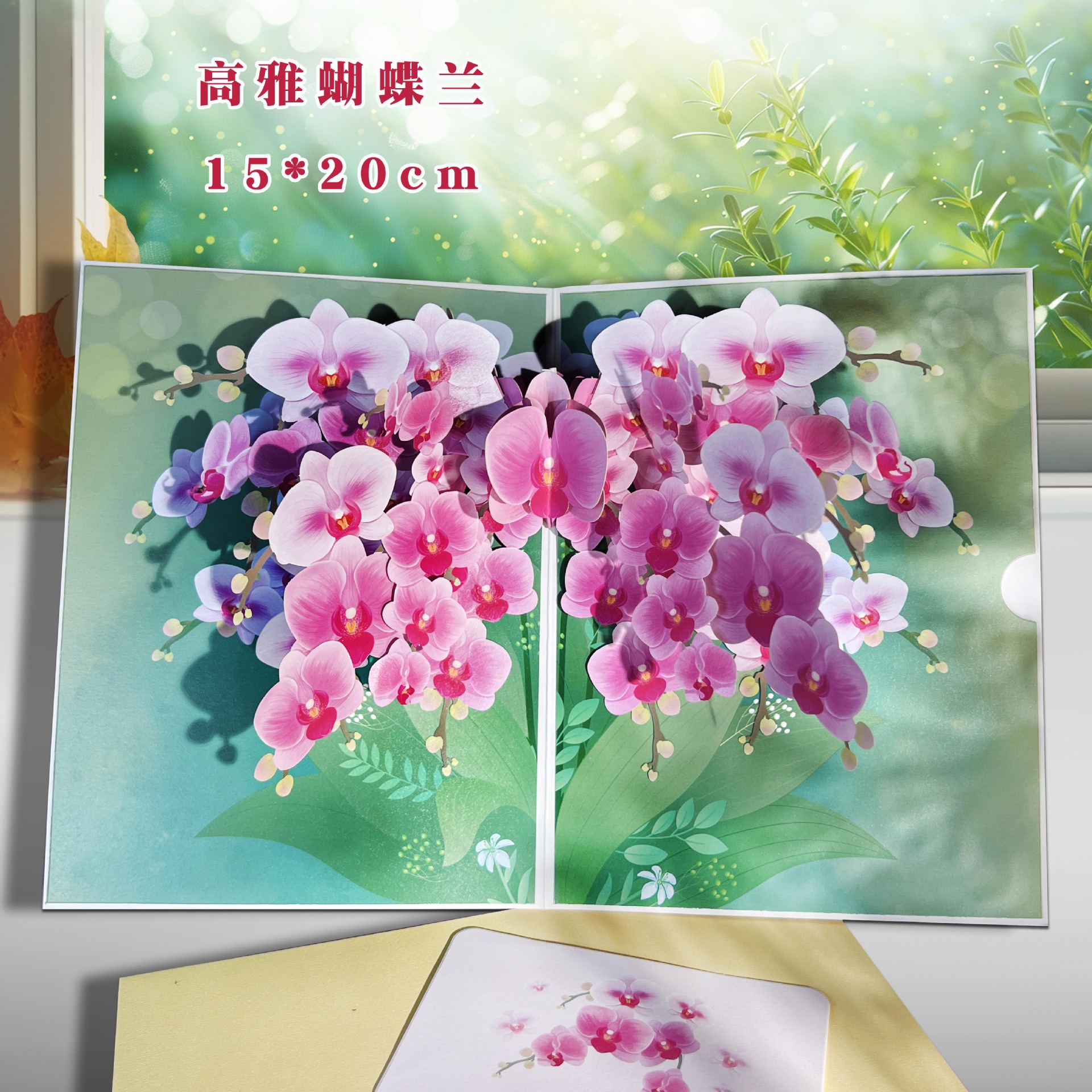 호접란★뜨거운 판매 추천