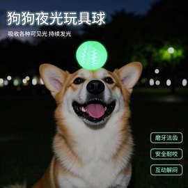 新款跨境发光宠物漏食球玩具益智耐咬磨牙狗狗解闷弹力耐咬玩具球