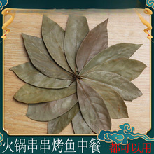 ĴخaaꎲؑcòlӢ~5g