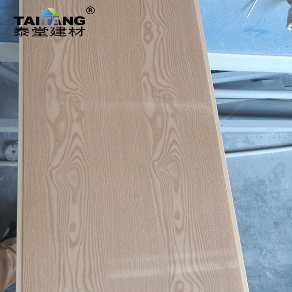 Fuera de Salvador PVC fuelle techo integrado de plástico techo