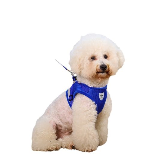 Pet Chest Strap Vest Breathable Comfortable Mesh Small and Medium Dog Traction Rope Anti-break Dog Walking Rope