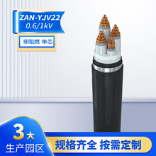 ���������a��������|ZAN-YJV22-0.6/1KV�͉��z�b��ȼ�ͻ���|��