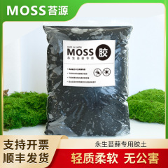 永生コケ専用ゴム土コケ大包装500g/バッグdiy
