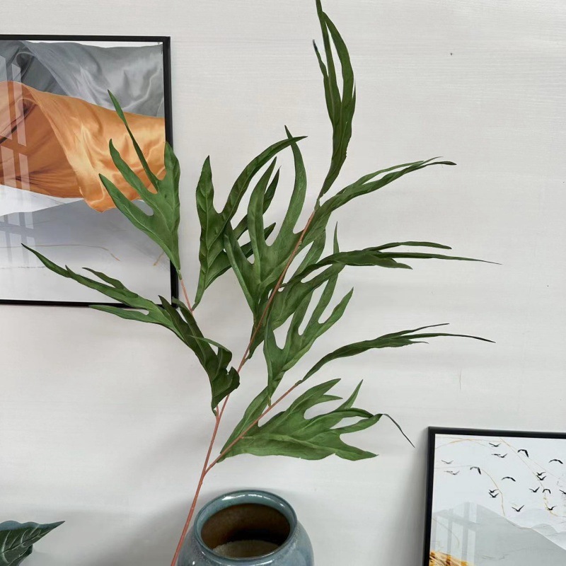 Pteris 잎 녹색