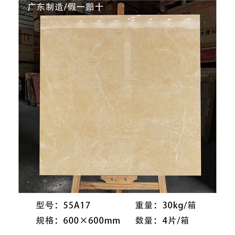 55A17 Made in Guangdong