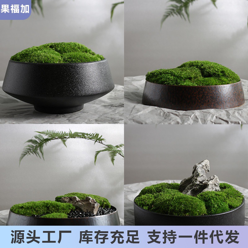 永生苔藓盆景盆栽仿真植物微景观中式桌面花艺客厅玄关前台摆件