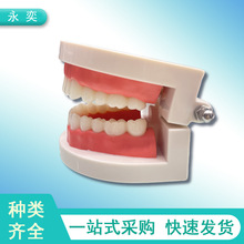 �������Xģ�� ����ɫ�в۹��z ���ƽ̌W�t����ͨչʾģ��