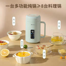 工厂定制英文电炖杯外贸小型110V/220V迷你英文便携式电炖锅水壶