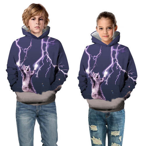 Cross-border 3D pattern digital printing children's clothing spring and autumn hooded fashion sweatshirt loose pullover hoodie wholesale