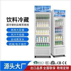 dapan奥达信冷藏展示柜酒水饮料柜牛奶冰箱立式冰柜110V220V跨境