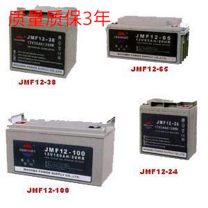 赛力特蓄电池MF1238AH 12V38AH价格SANLIGHT蓄电池质保三年包邮