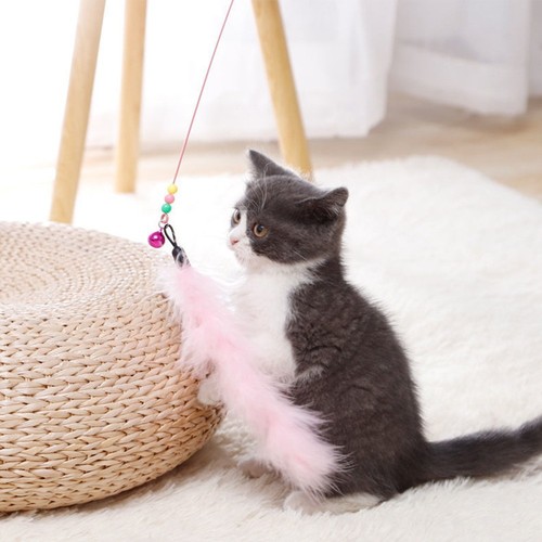 Factory Direct Sales Classic Long Wire Cat Teaser Durability Cat Toys Pet Cat Toys Pet Supplies Wholesale