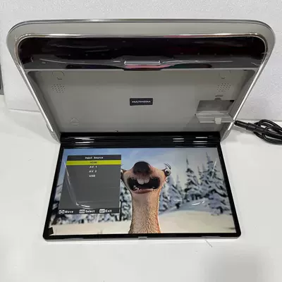 14inch Roof Tv Monitor Hd Ips Screen USB HDMI Hd Video Input