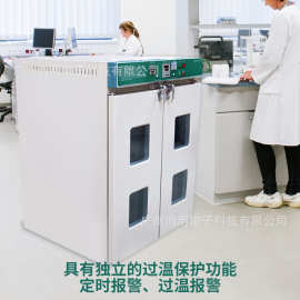 电热恒温鼓风真空干燥箱烘箱高温烤箱烘干箱实验室热老化箱