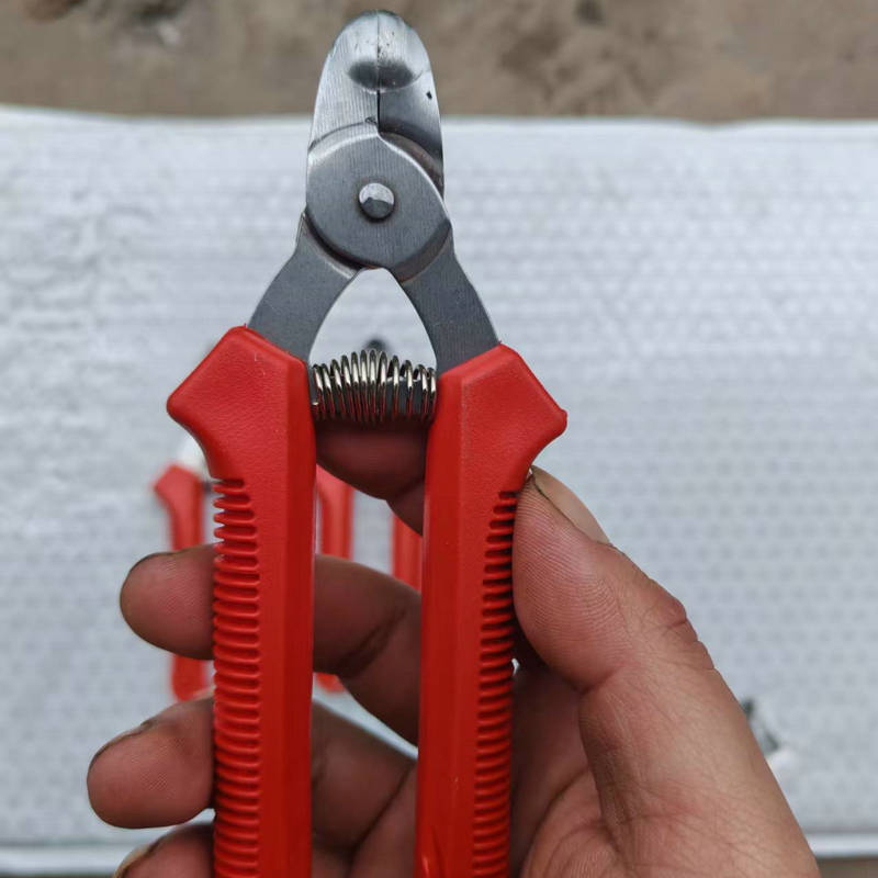 f38f1c9f-e646-4c42-9481-c12070