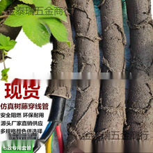 ���ϸɘ�֦늾����@��ľ���ٗl�bܷ�Ƥ������Ę��ٴ�����