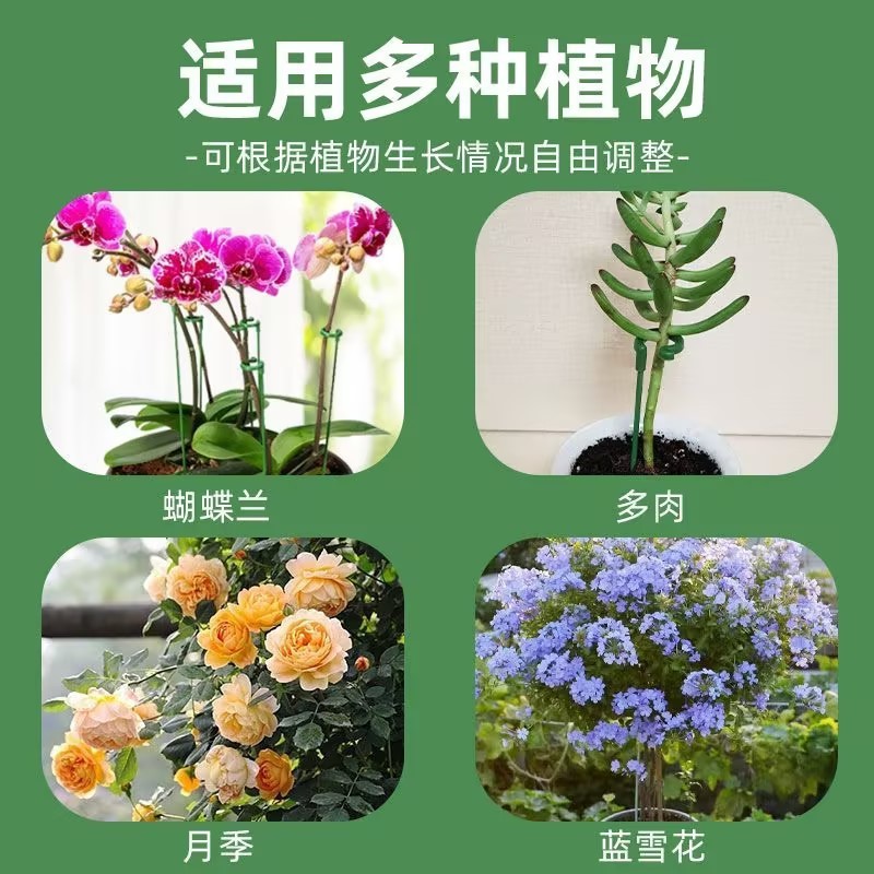 多肉蝴蝶兰专用花架支架植物盆栽花卉造型支撑杆固定防倒伏护叶架|undefined