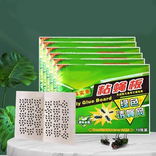 苍蝇贴强力粘苍蝇纸粘蝇板药沾蚊杀手捕捉器灭蝇子神器一扫光家用