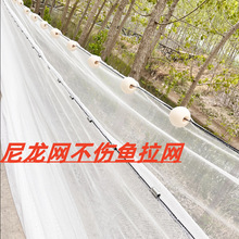 �����W�O�W���W�Bֳ�W̧�W���������W���~�W���W�B�~�W���~�W