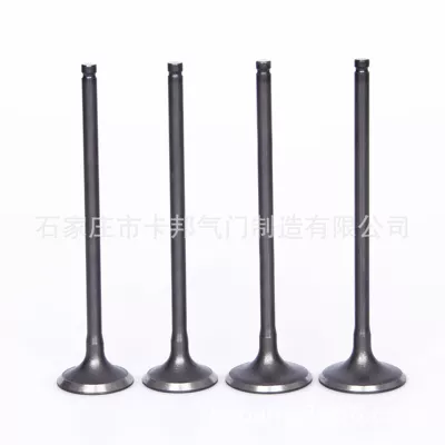 Professional Manufacturer of Various: Ka Bang Valve components