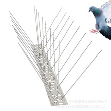 ���R�d�羳�̨���@������P���B�����B�����B���s�B����؈��