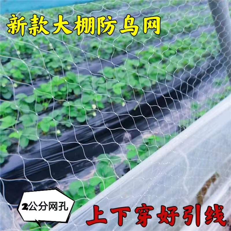 Сельскохозяйственная клубничная теплица Вентиляция Птичья сетка Арбузная теплица Птица Виноградный сад Небесная сеть Фруктовые деревья Защитная сеть