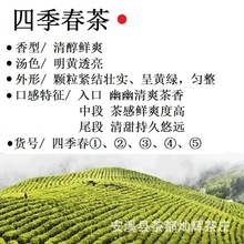 四季春水果茶奶茶专用基底茶清茶乌龙茶纯茶青茶喜茶奈雪乌龙原叶