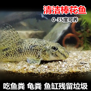 �����~ ���A���~ ��ˮ����� ��ʳ��� ������� �o��ӟ���]