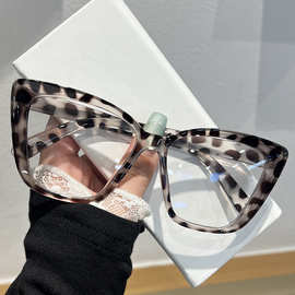 时尚欧美跨境眼镜架猫眼太阳镜网红款百搭显瘦高级墨镜大框平光镜