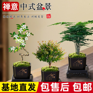 ���������С�~��骶U�������k��������ֲ��С�辰���ܔ[��