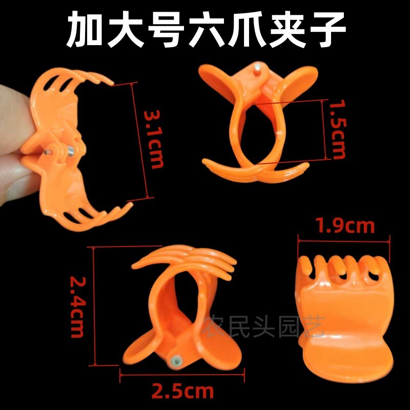 特大6本爪クリップ、デンドロビウム専用装飾固定クリップ、金の木蘭クリップ、園芸用つるサポート|undefined