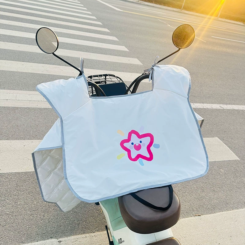 Windproof summer thin waterproof electric car, sun protection