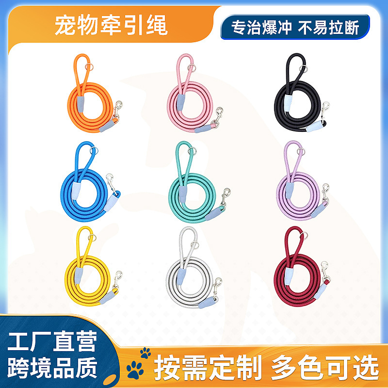 Cross-Border Dog Leash Explosion-Proof Small and Medium-Sized Dog Bichon Teddy P Rope Anti-Breakaway Pet Dog Rope Chain New