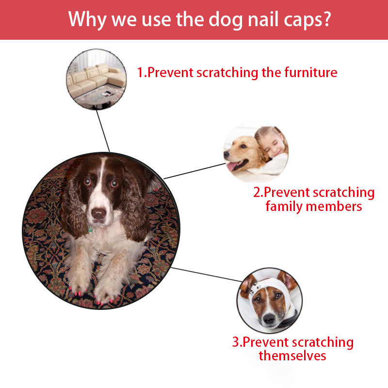 9197256233_1614002113