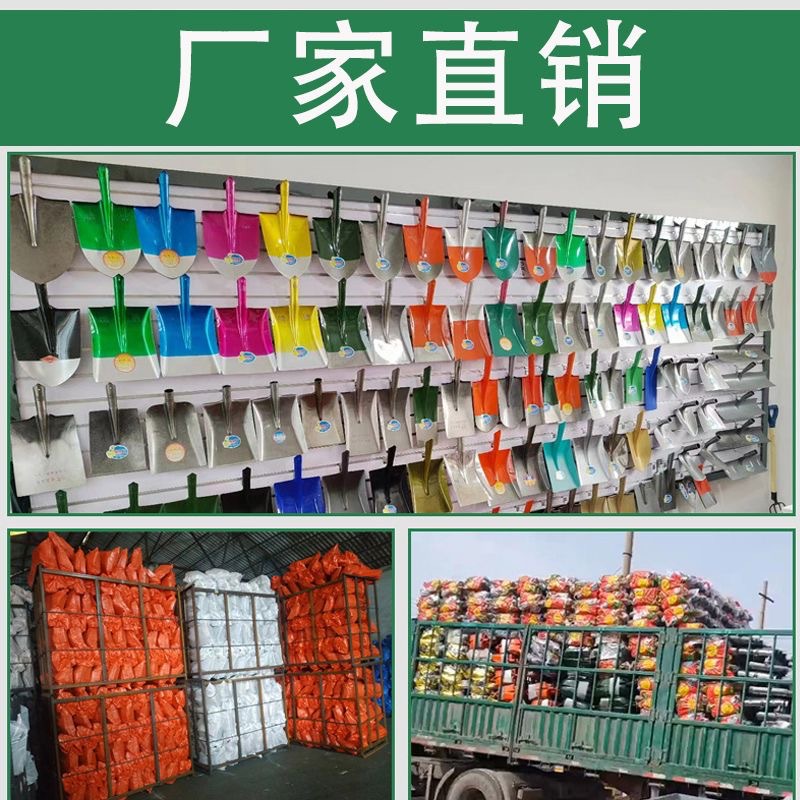 微信图片_20231105022941