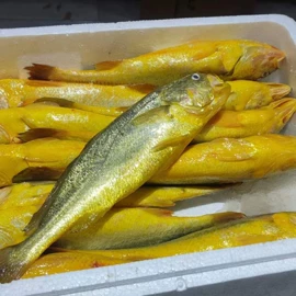 海带;鱼类;水产干货类