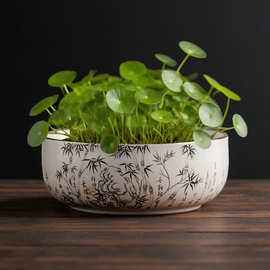 水仙花盆陶瓷大号家用铜钱草专用一叶莲碗莲盆多肉水培睡莲盆缸