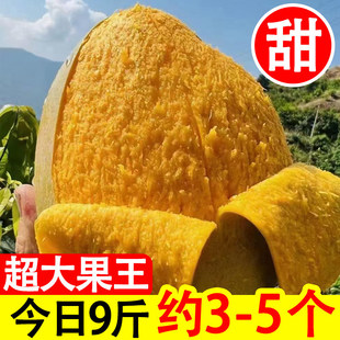 ���Ԯa���N���Ĵ���֦���P��â����â���ЋDˮ�����r���䮔��