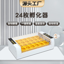 工厂批发24枚跨境热销小型孵化机家用智能孵蛋器小鸡乌龟孵化箱
