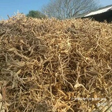 厂家直销细枝条根须虾木栖根杜鹃根青龙石沉木鱼缸造景素材雨林