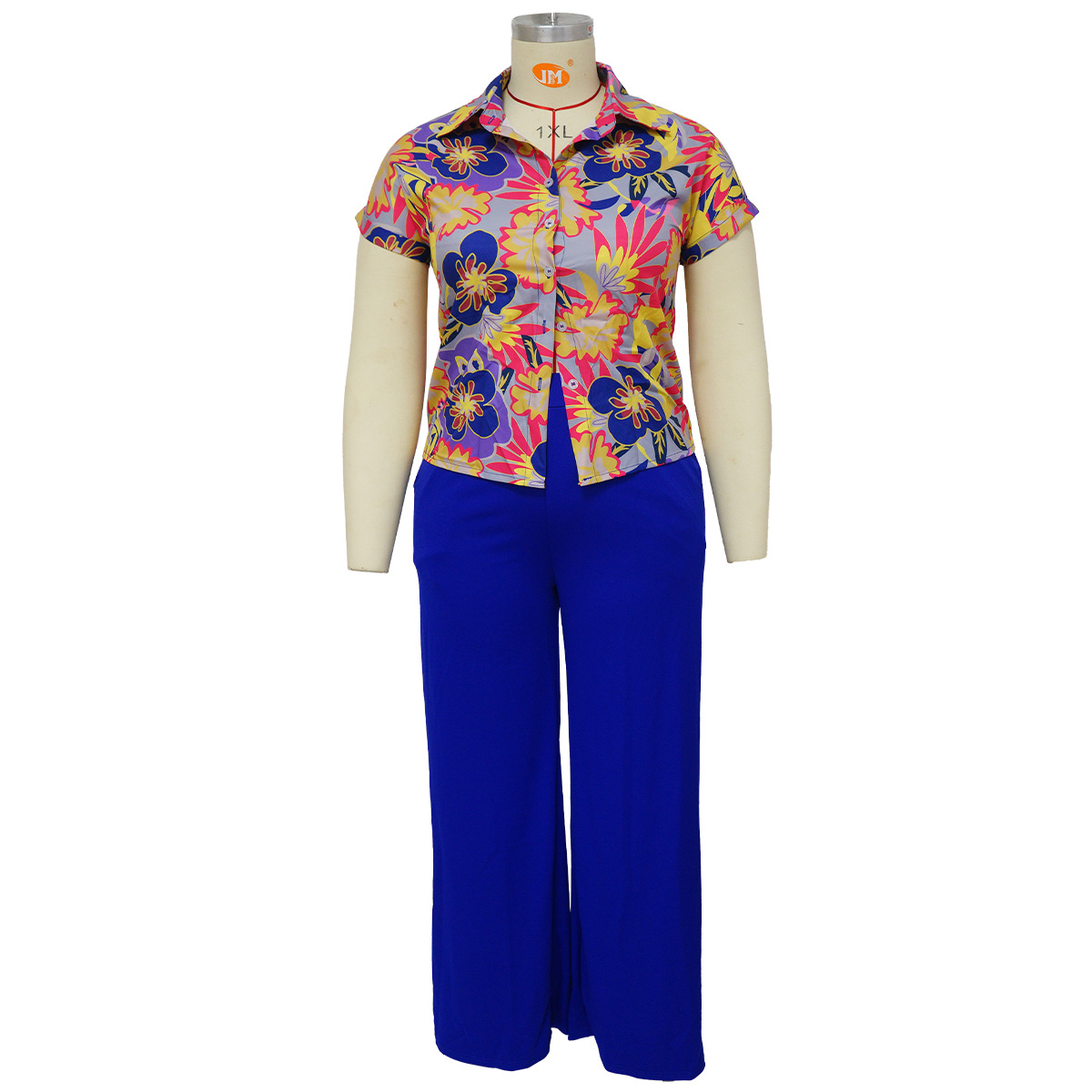 Daily Elegant Flower Spandex Polyester Printing Pants Sets Plus Size Two-piece Sets display picture 2