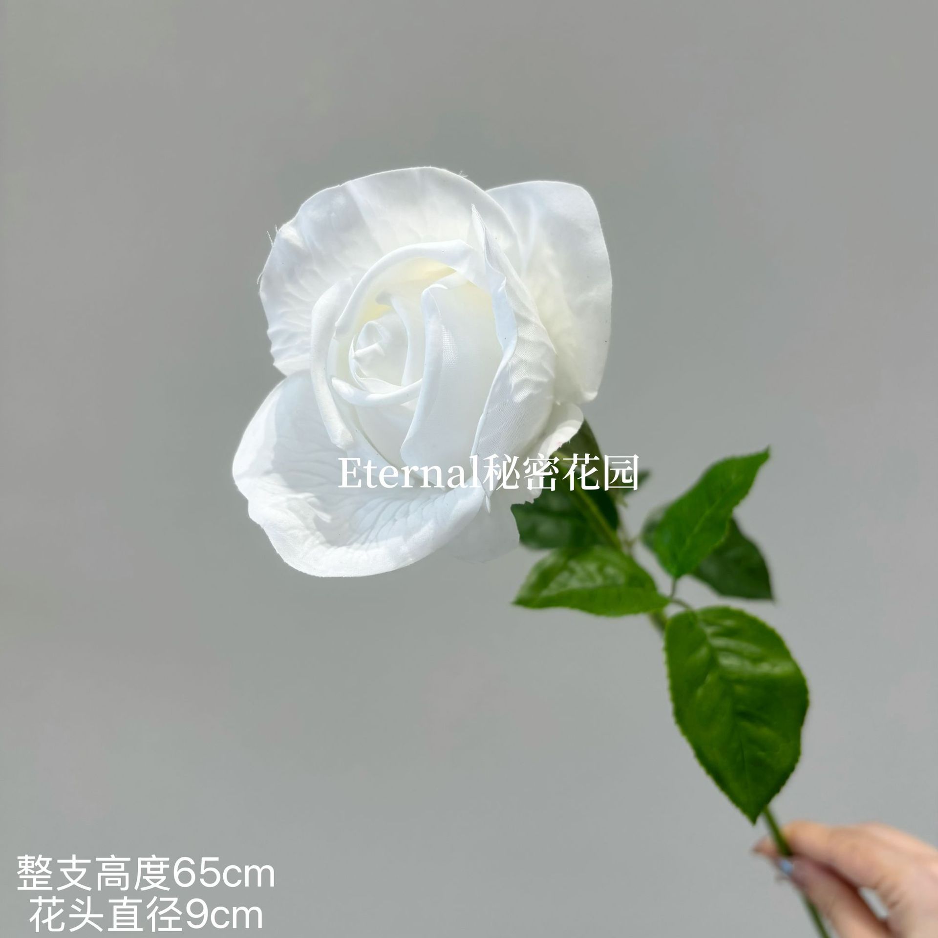 촉촉한 장미 향