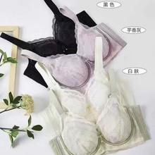 2025ٻ���¿���Ό�ˮ��CD�������@С���ո���r������9955