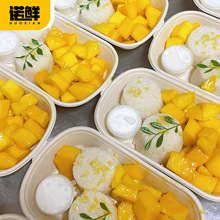 一次性打包盒泰式芒果糯米饭轻食摆摊餐盒便当盒沙拉盒寿司饭团