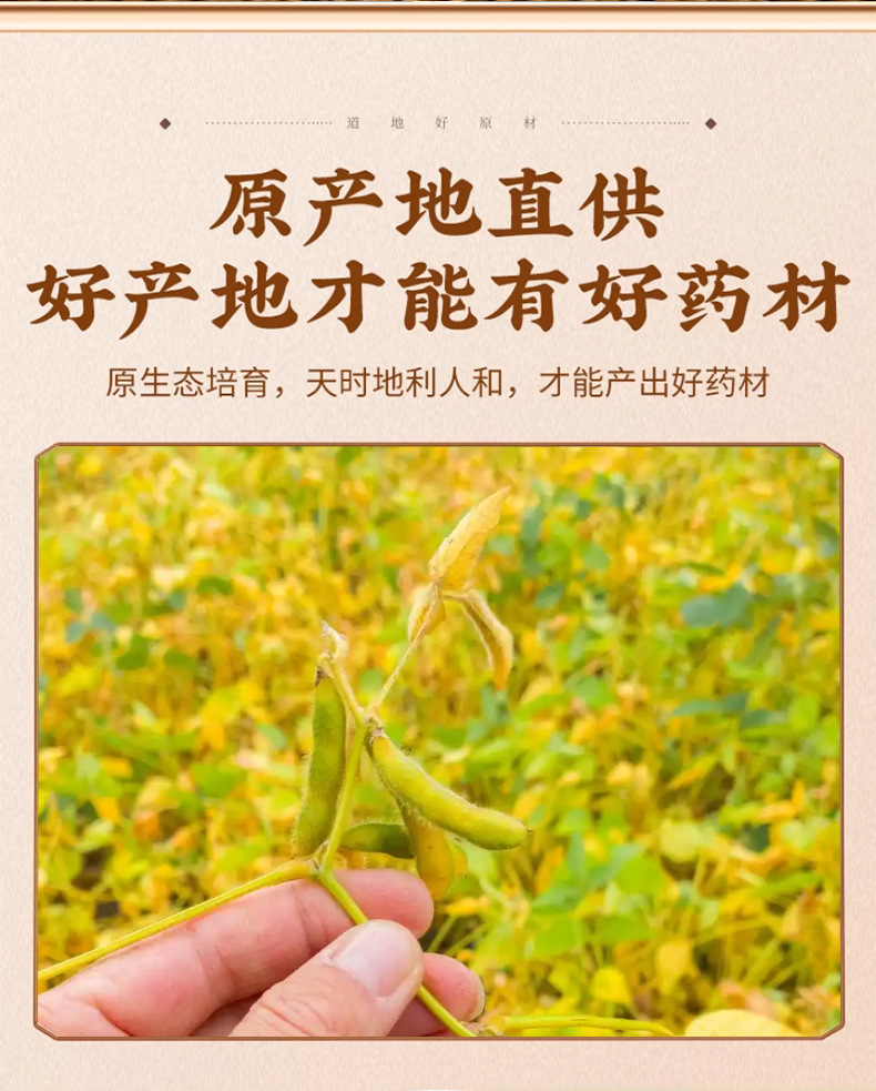 Dried Soybean Sprout Da Dou Huang Juan 500g Natural Sun Dried Chinese Herbal Ingredient key features