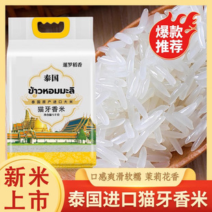 ̩������5��������lԴ�^���������L�����׽z����؈���ו��N�YƷ