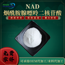 NAD99% oø NAD+߀ԭ͟ʶc}NADH